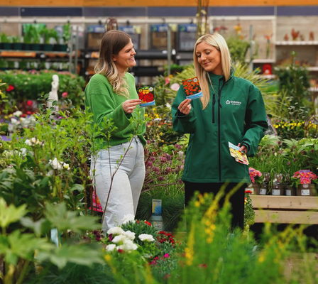 Dobbies Garden Centres background